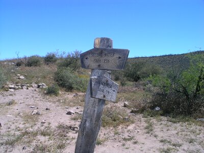 Arizona landscape