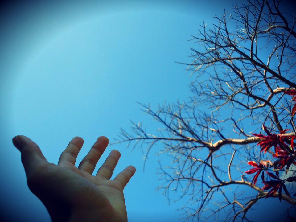 Fingers blue background
