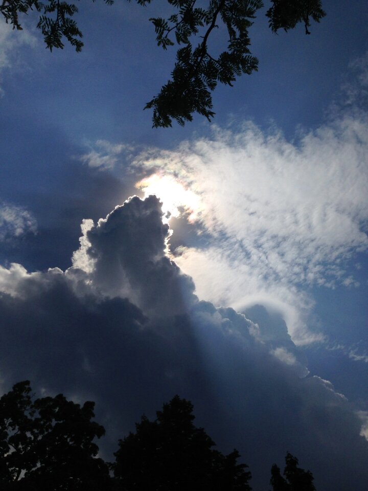 Light sun nature