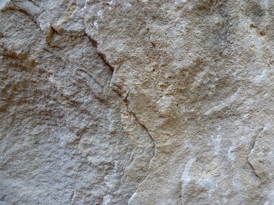 Wall texture