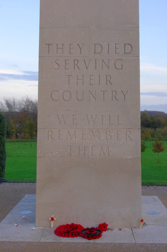 Remembrance poppies