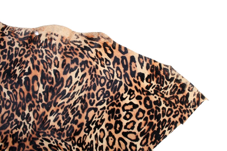 Leather texture texture animal
