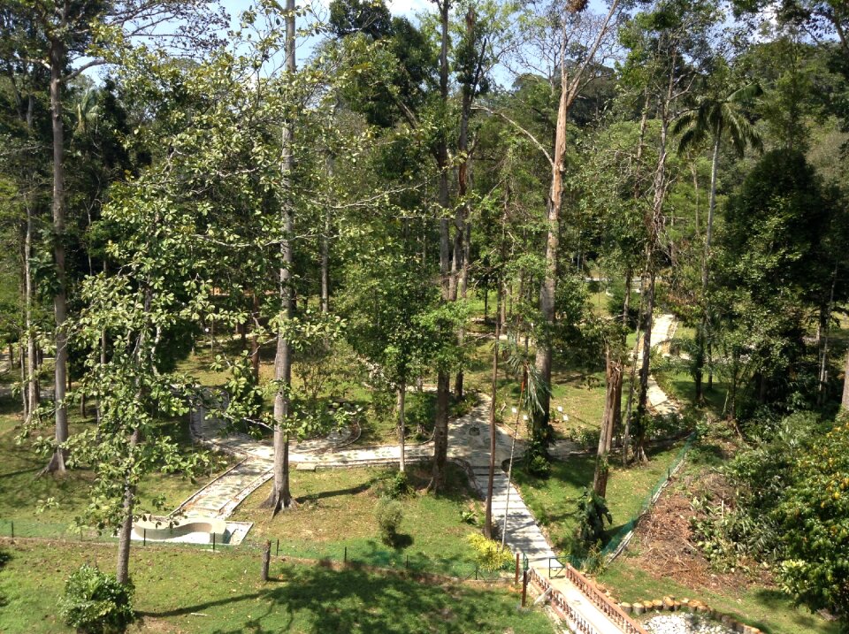 Scenic natural view
