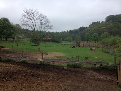 Park nature zoo