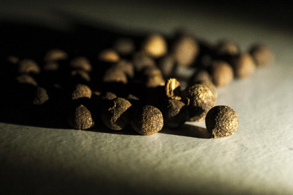 Spice nature bronze