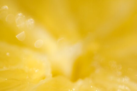 Nature tropical fruit the richness of