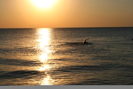 Ocean sea sun photo