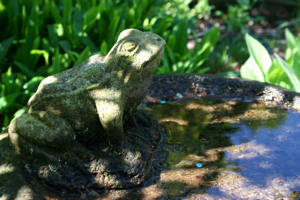 Decoration nature sculpture