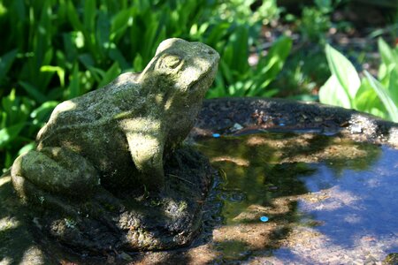 Decoration nature sculpture