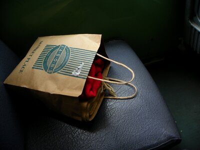 Public cars paper bags travel