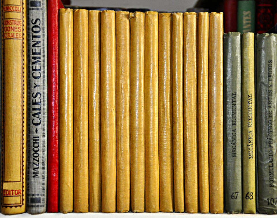 Reader reading book