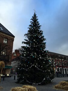 Christmas gran lund