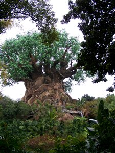 Animal kingdom disney