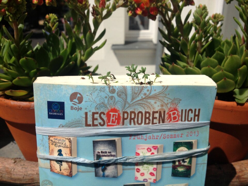 Book flowers decoration