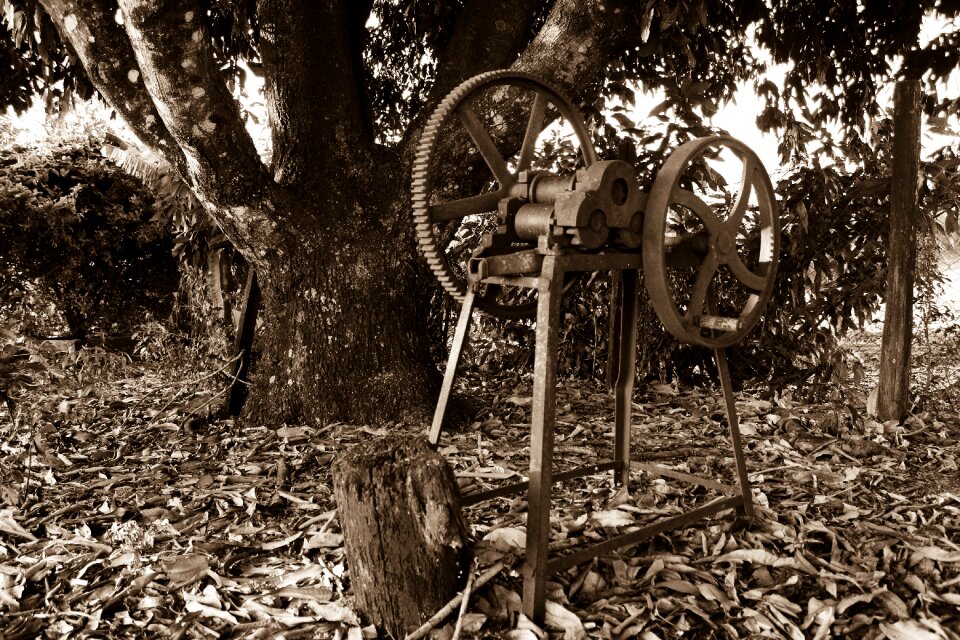 Chacara farmer place