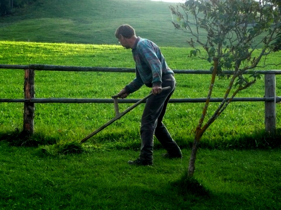 Scythe agriculture meadow