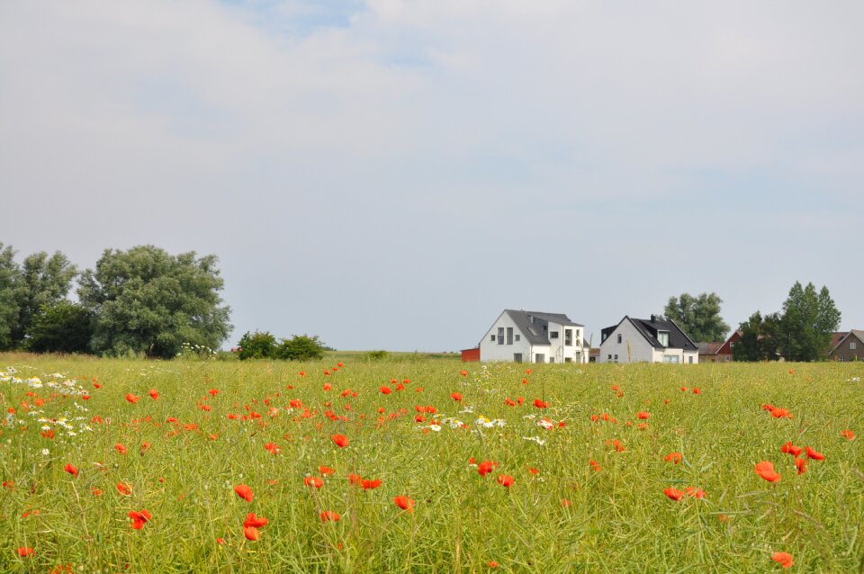 Bed countryside summer