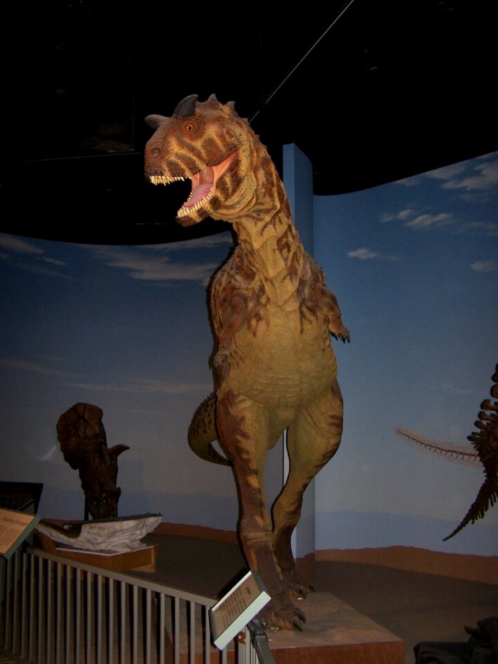 Paleontology extinct prehistoric