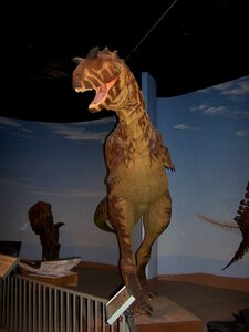 Paleontology extinct prehistoric photo