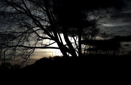 Mystical outdoor backlighting