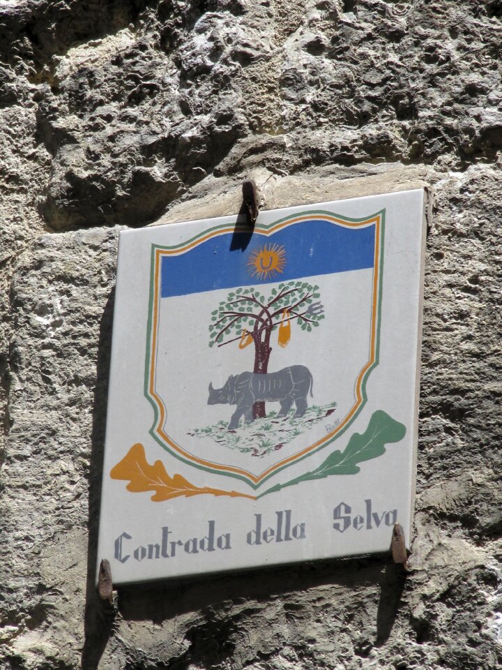 Siena district horse racing