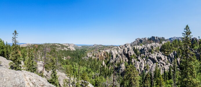 Granite wild forest