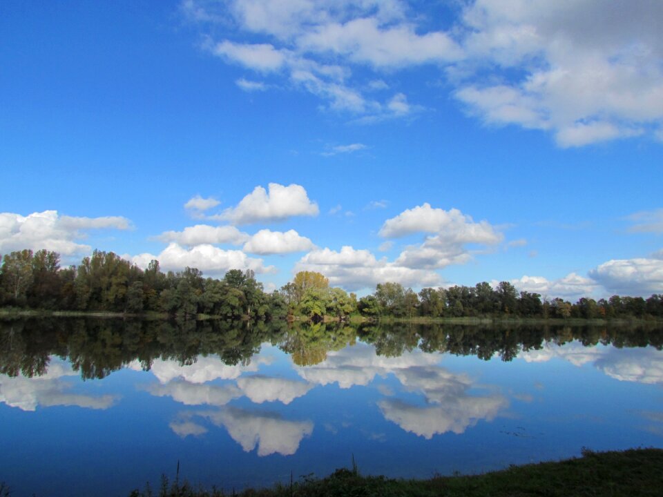 Blue trees landscape