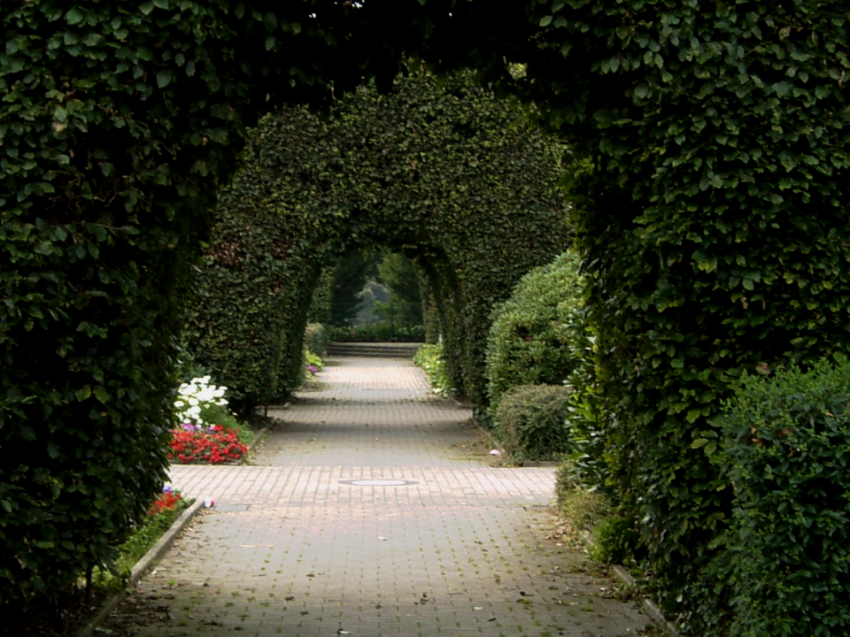 Park architecture garden