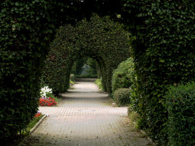 Park architecture garden