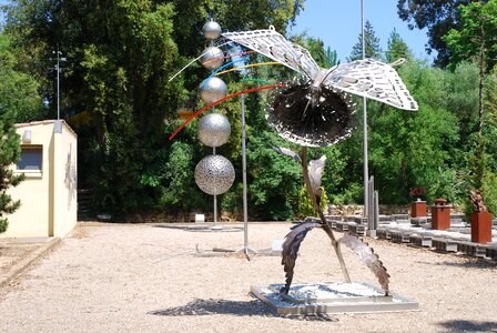 Man parasols bowls photo