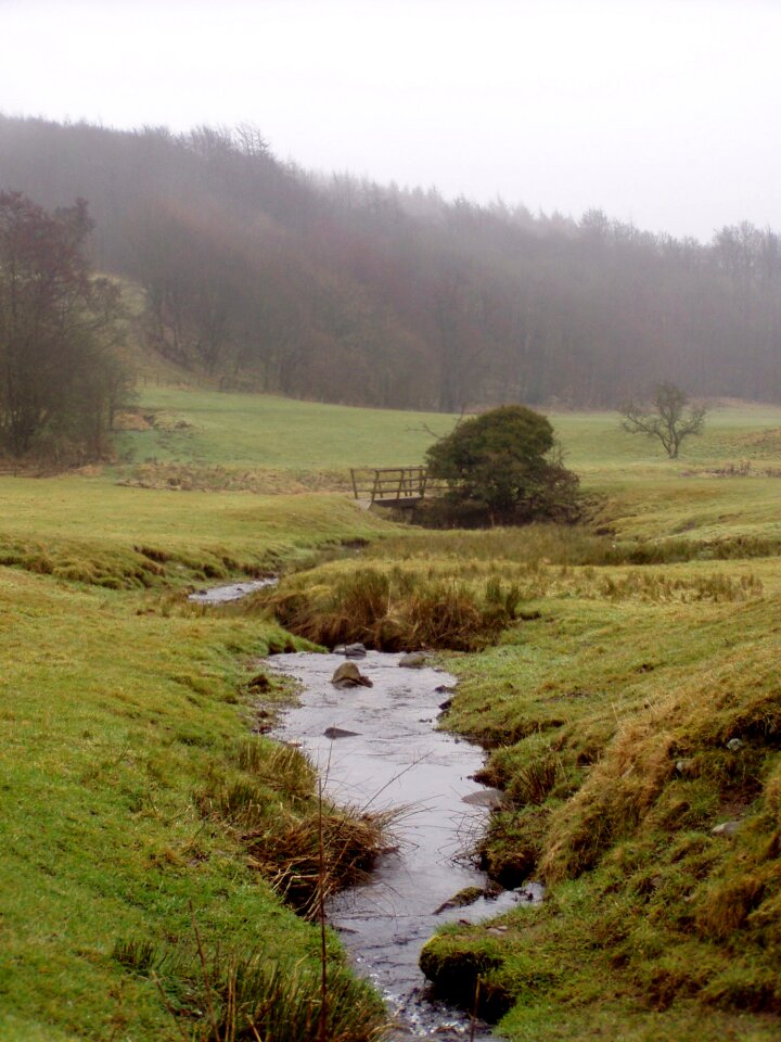 Nature united kingdom english