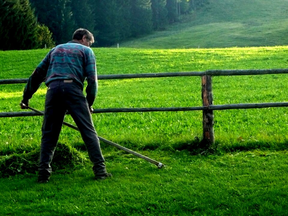 Scythe agriculture grass