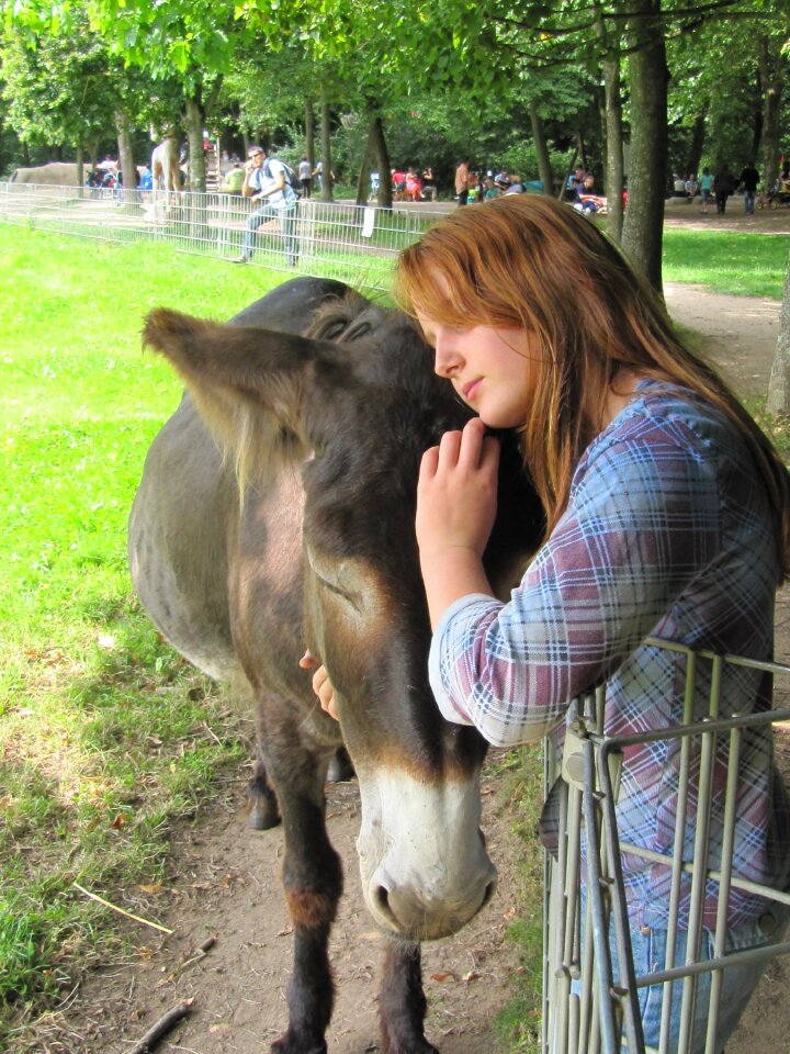 Sanfrancisco domestic animals friendship