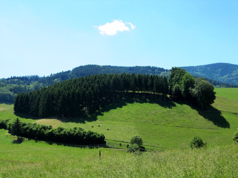 View landscape idyll