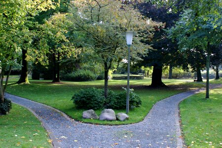 Park trees fork