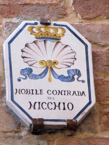 Siena district horse racing
