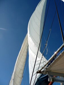 Mast sailing vessel water sports photo