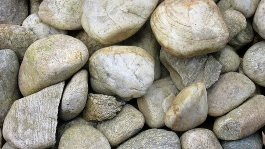 Plump background pattern