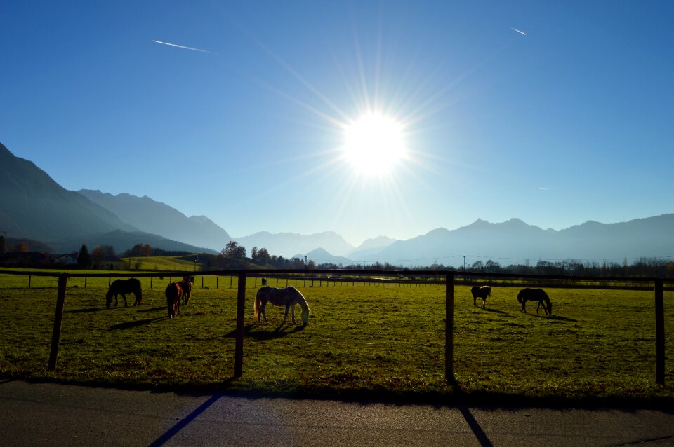 Upper bavaria alpine foothills late autumn