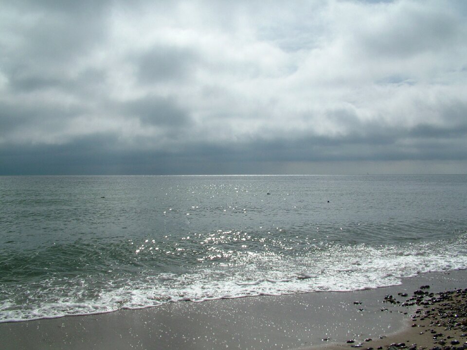 Sea coast nature