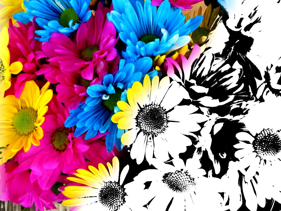 Colorful paint spring