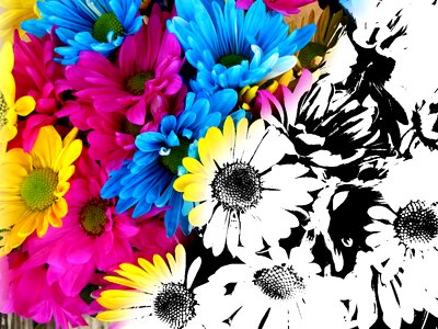 Colorful paint spring