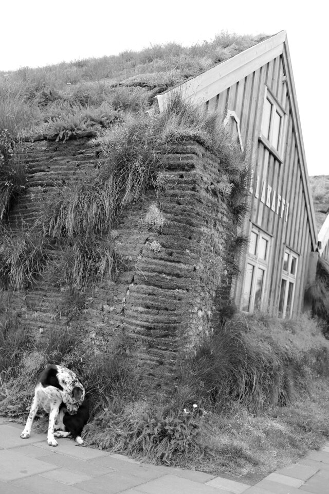 Bezludzie iceland wooden house