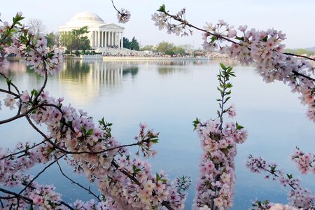 Jefferson memorial washington