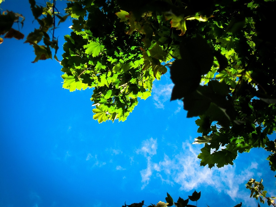 Upward clouds growth