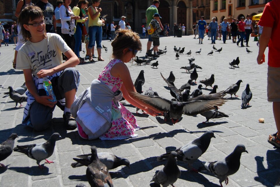 Pigeons st mary's church the little girl