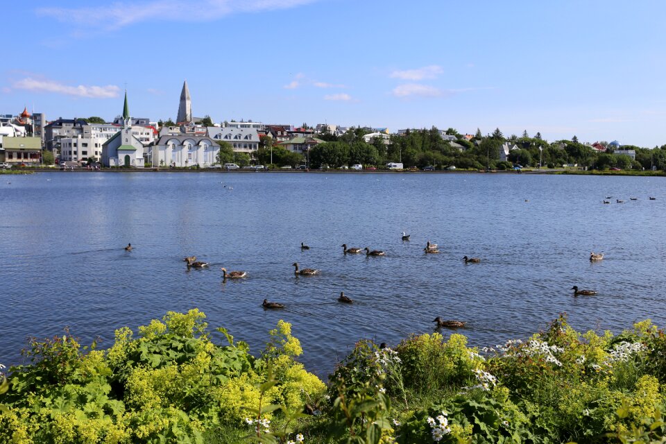 Landscape houses lake