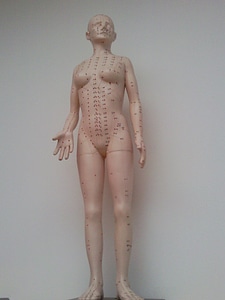 Medical doll mannequin photo