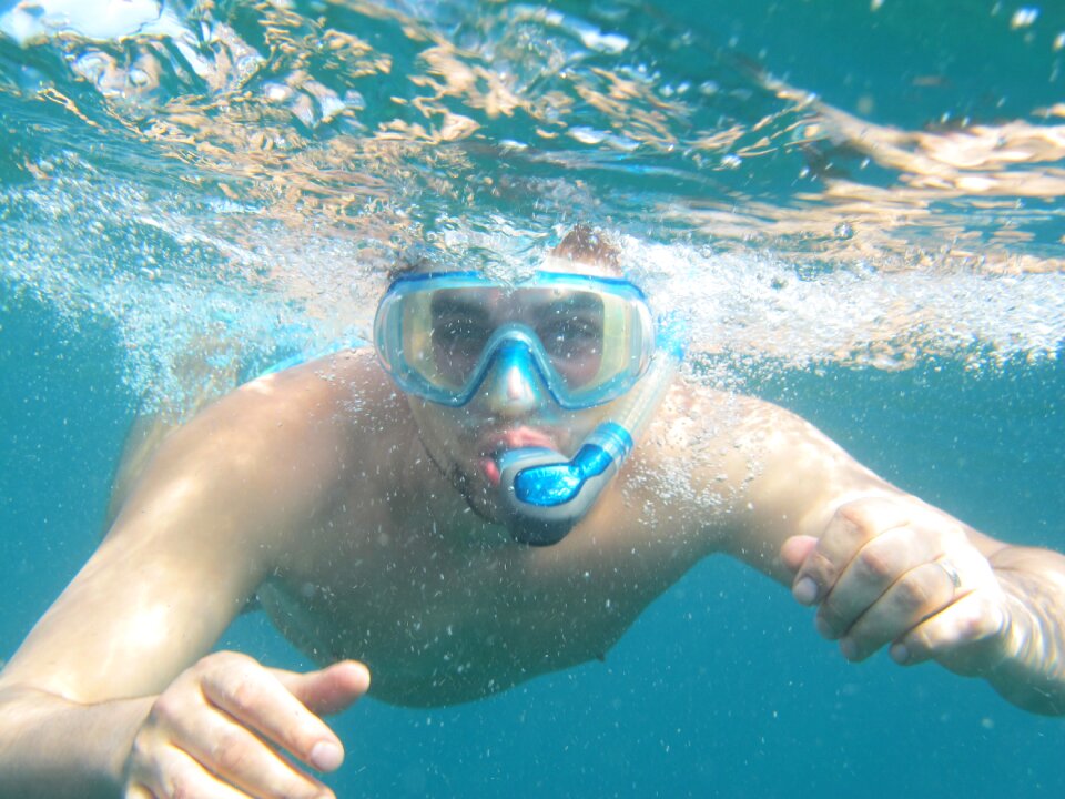 Snorkeling sea koh tao