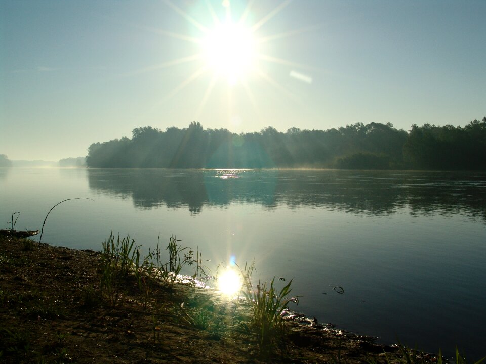 Fishing summer river